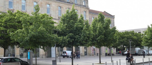 Le sport prend ses quartiers 2017