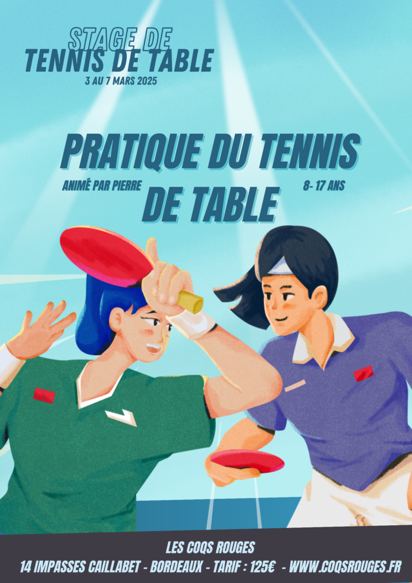 Stage de tennis de table bordeaux du 3 au 7 mars 2025 vacnaces de février